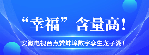 ?“幸福”含量高，安徽電視臺點贊蚌埠數(shù)字孿生龍子湖！